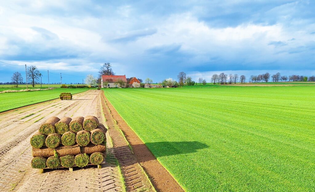 Montaż trawy w rolkach