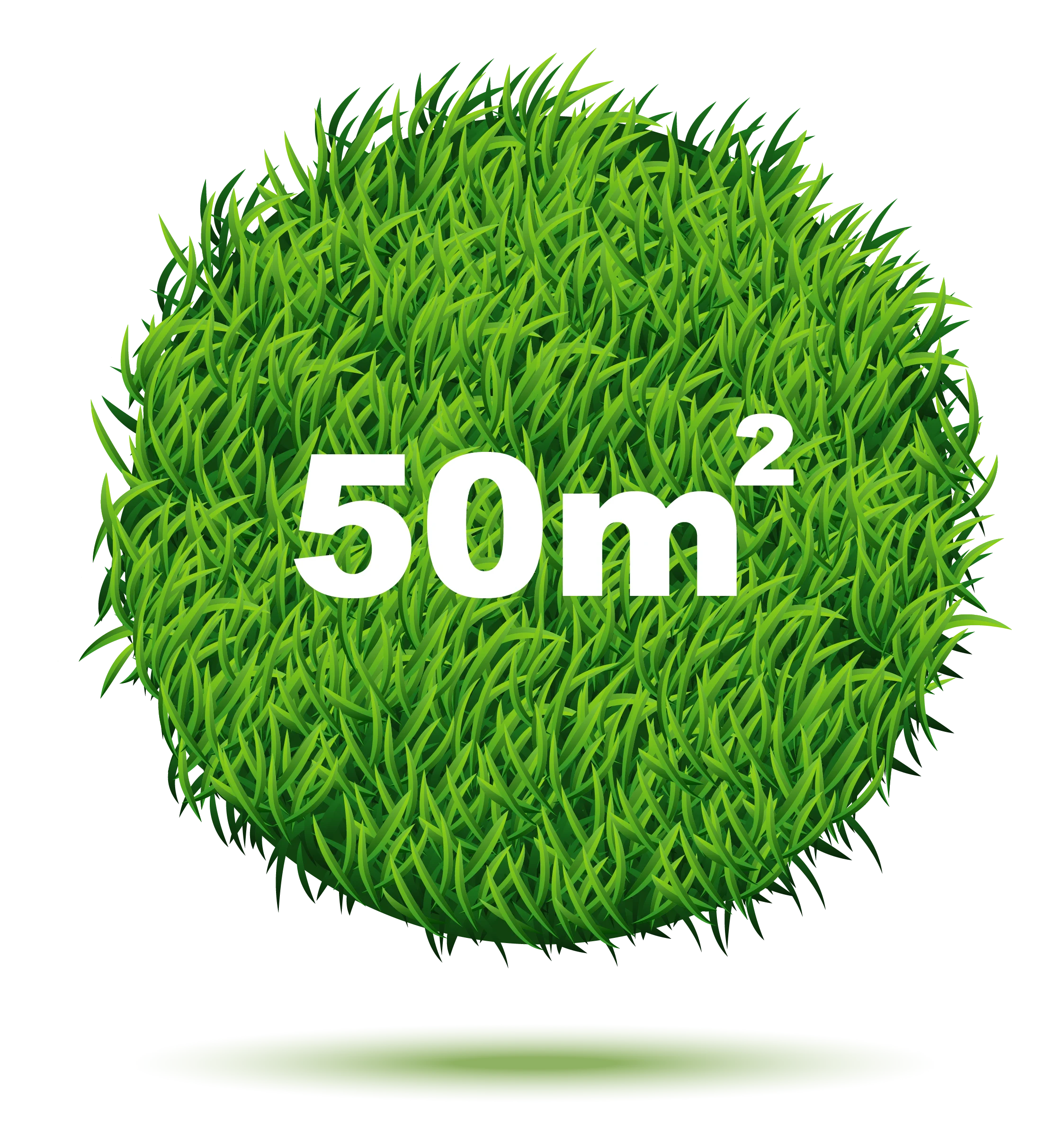 50m2