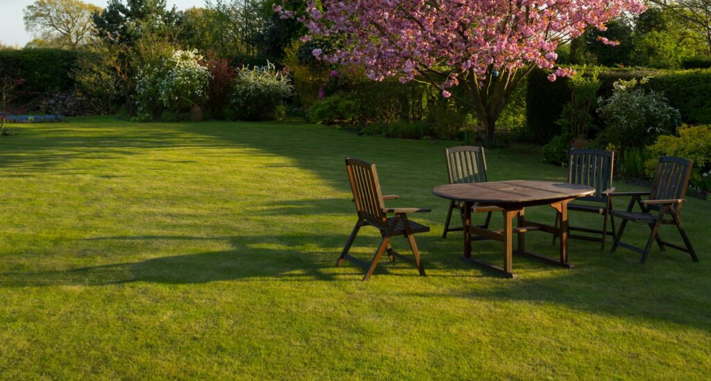 podwórko z trawnikiem