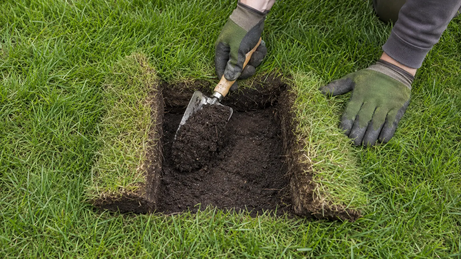 Naprawa głębokiego dołka przez podniesienie darni i uzupełnienie ziemi